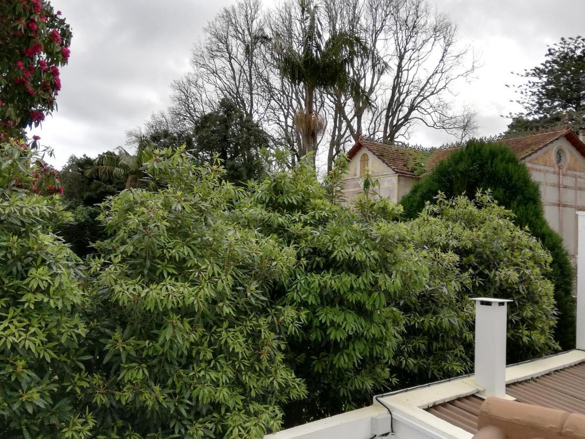 Victoria Guest House Furnas  Εξωτερικό φωτογραφία